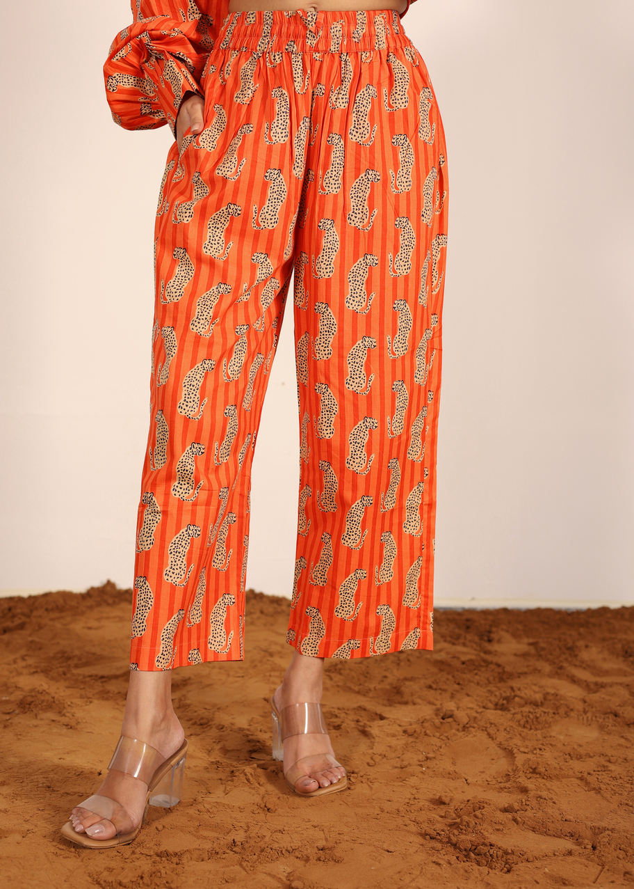 สีส้มและหลากหลาย