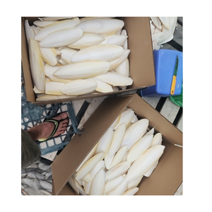 Os de seiche séchés pour complément alimentaire pour oiseaux, poudre d'os de seiche sec, os de seiche blanc de 4 pouces pour l'alimentation des oiseaux - Product Image 1