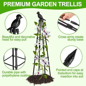 Treillis pour plantes d'intérieur bohème, formes de treillis traditionnelles disponibles en plusieurs tailles et finitions - Product Image 3