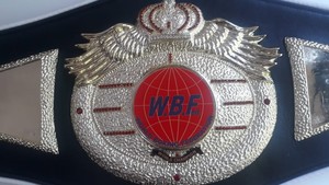 Símbolo de Victoria y excelencia definitivo Cinturones de campeonato de boxeo Trofeos Medallas Premios de accesorios de moda - Product Image 6