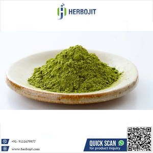 Herbojit International Poudre de Capsicum Vert Séchée par Pulvérisation 100% Pure et Naturelle de Qualité Alimentaire Fabriquée en Inde - Product Image 6