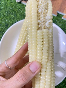 Maíz Dulce Hervido Congelado IQF de Vietnam, Empaquetado a Granel, Calidad de Exportación, Precio Competitivo - Product Image 2