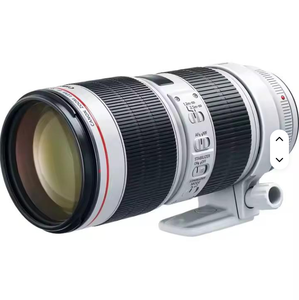 Miglior Prezzo di Vendita per Obiettivo EF 70-200mm F/2.8L IS III USM con Compatibilità Scheda SD, Qualità Garantita al 100%, Pronto per la Spedizione - Product Image 1