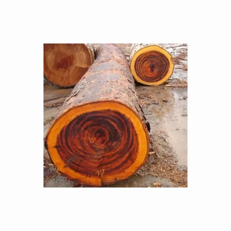 Wholesale timber wood logs/crude wood Pine and Oak Teak Wood Logs, Timber, wood Sawn Timber