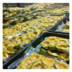 AVOCAT FRAIS CONGELÉ-LA MEILLEURE QUALITÉ DU VIETNAM-APPROVISIONNEMENT EN VRAC - Product Image 5