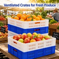 Caisses et conteneurs de stockage en plastique ventilé empilables, recyclables et durables pour fruits et légumes