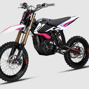 Meilleure offre pour les motos tout-terrain S URRONs Hyper Bee 14 pouces 12 pouces de 2015 à 2026, neuves/d'occasion, originales - Product Image 1