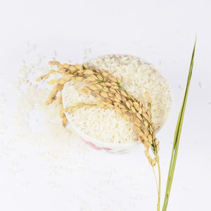 Arroz Blanco de Grano Largo Fresco Empacado para Exportación, Arroz Blanco de Grano Largo Entregado con Color Brillante y Textura Suave - Product Image 1