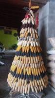 Maïs séché le plus vendu, style rustique, pour usage décoratif, idéal pour la présentation sur le thème de la ferme et la présentation visuelle, Vietnam
