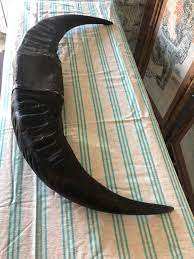 Puntas Redondas de Cuerno de Búfalo de Buena Calidad, Fabricante de Puntas Redondas de Cuerno de Búfalo de Calidad Natural para Regalos y Manualidades - Product Image 3