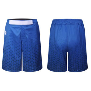 Pantalones Cortos de Boxeo MMA para Hombre Precio Al por Mayor Pantalones Cortos de Entrenamiento MMA Pantalones Cortos de Ropa de Lucha - Product Image 3