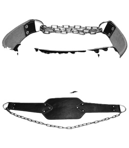 Ceinture de musculation et ceinture de levage combinées pour la salle de sport et la vente au détail - Product Image 1
