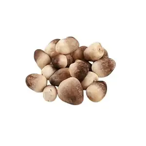 HOT PRODUCT| QUALITY CANNED STRAW MUSHROOMS PROCESSED INTO MANY DISHES