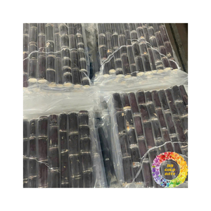 Bâtons de canne à sucre congelés prêts à l'emploi scellés sous vide, idéaux pour la cuisson des boissons et la distribution à l'exportation - Product Image 4