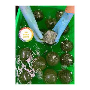 IQF Hojas de mandioca congeladas Venta al por mayor Suministro a granel Producto de origen de Vietnam para la Agricultura Industria alimentaria y fines de exportación - Product Image 4