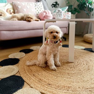 พรมปอกระเจาขอบสีดำและสีเบจสไตล์วินเทจ | 100% วัสดุธรรมชาติพรมสำหรับบ้านห้องนั่งเล่นห้องนอนห้องครัว - Product Image 4