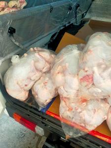 Muslos de Pollo Enteros Congelados IQF HALAL, 40°C - Product Image 6