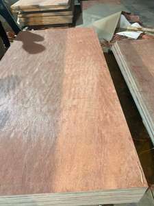 Bintangor/Okume/Superficie de eucalipto Madera contrachapada comercial Núcleo de madera dura Estilo de diseño moderno 1 año de garantía Uso en apartamento Vietnam - Product Image 2