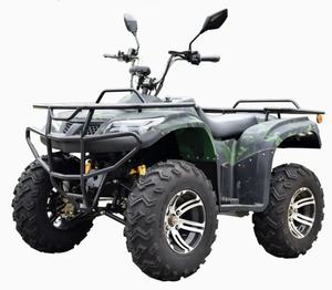 Cuatrimoto Eléctrica para Adultos de 3000W-6000W, 2 Plazas, Tracción 4x4, 300cc, Precio Competitivo para Electrónica de Consumo - Product Image 1