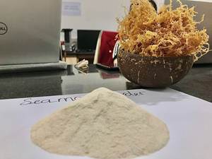 ผงที่มีคุณค่าทางโภชนาการสูง | ผงทะเลจากเวียดนาม - Product Image 4
