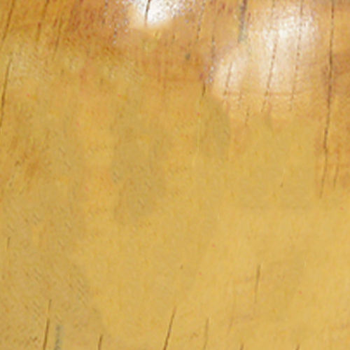 ธรรมชาติ