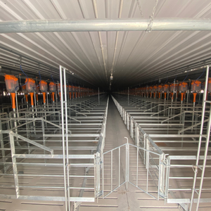 Jaula de acero inoxidable de gestación de cerdo personalizada más vendida Nueva condición para uso de conejos Fabricado directamente en Vietnam - Product Image 6