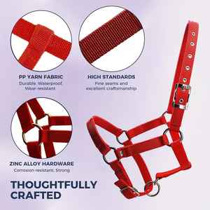 Licol de luxe pour cheval avec système de sécurité, en sangle de polypropylène rembourrée, avec placage en nickel perlé en alliage de zinc - Product Image 2