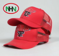 Gorra de Béisbol de 6 Paneles con Logotipo Personalizado Bordado a Mano de Alta Calidad, Imagen de Fruta, Gorras Trucker de Tela Común 100% Algodón