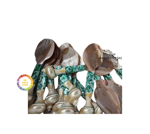 Meilleure vente cuillère en nacre naturelle Premium jetable du Vietnam pour le service de caviar Coffrets cadeaux Premium de présentation de fruits de mer - Product Image 6