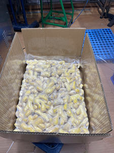 Gingembre congelé produit à partir de racines de haute qualité pour les besoins de la cuisine commerciale en provenance du Vietnam par 99 Gold Data - Product Image 4