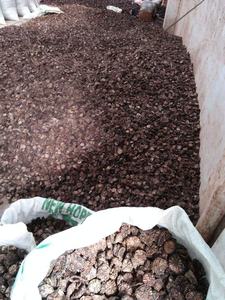 TRANCHES NON SÉCHÉES/ÉTIQUETTE PROPRE/À BASE DE PLANTES/FORME DE FRUITS NATURELS - Product Image 4