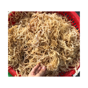 ผลิตภัณฑ์คุณภาพสูงสาหร่าย Eucheuma Cottonii แห้งจากการขายส่ง - Product Image 1