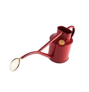 Arrosoir en métal moderne et robuste, finition colorée, bec long, idéal pour les grossistes, les détaillants et les centres de jardinage - Product Image 6