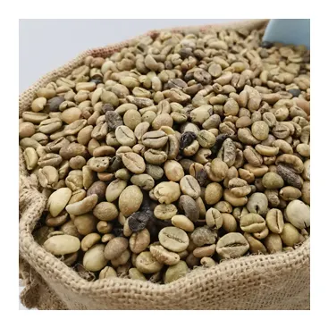 2022 녹색 Robusta 커피/Robusta 녹색 콩 커피 저렴한 가격