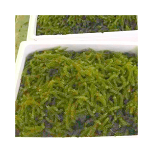 RAISINS FRAIS YUMMY DE HAUTE QUALITÉ PREMIUM GRADE-GRADES DE MER SUPER CRISPY PRIX BAS VENTE EN GROS PRIX DIRECT D'USINE - Product Image 2