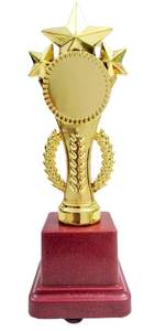 Homme du match Trophée de cricket pour étudiant Collage Institute Événements Trophée Cadeau Décoration de maison et de bureau - Product Image 3