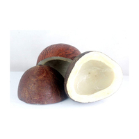 Coco Seco Entero a Granel / Coco Deshidratado / Bolas de Coco Copra