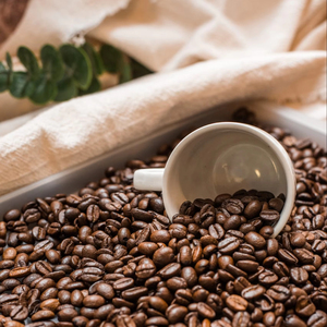 Café moulu torréfié Arabica de spécialité du Vietnam, certifié USDA, haute qualité, export en vrac, noir cassé 0,1% TNFOOD Marque G1/G2 - Product Image 1