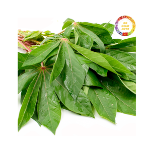 Surtidor al por mayor de hojas de yuca congeladas de tierra de alta calidad en grandes cantidades de Vietnam para la exportación - Product Image 3