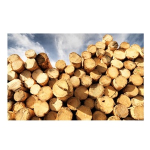 ไม้แปรรูปและไม้ดิบคุณภาพพรีเมียมสำหรับขาย ราคาไม้ที่เหมาะสมสำหรับผู้ซื้อจำนวนมาก - Product Image 1