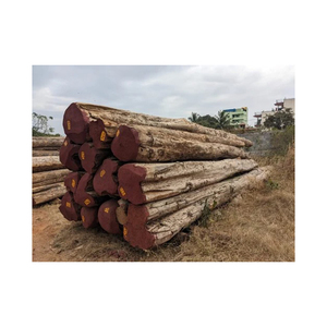 Gỗ padouk cao cấp được cung cấp với số lượng lớn cho các dự án nội thất và trang trí - Product Image 3