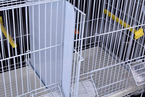 Cage à oiseaux dorée promotionnelle boîte à cils porte-vêtements doré nourriture géante cage à <span class=keywords><strong>pigeon</strong></span> en acier inoxydable <span class=keywords><strong>pigeon</strong></span> de course - Product Image 5