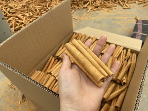 Venta al por mayor Canela Cassia Precio de fábrica Especias competitivas Alta calidad Vietnamita Cassia Sticks - Product Image 4