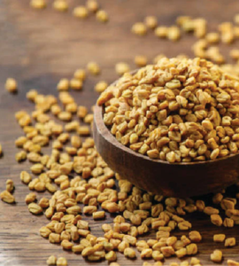 Premium Fenugreek <strong>Seeds</strong> for Drinks <strong>and</strong> Cooking Agriculture Product - Product Image 1