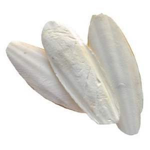 VIETNAMESE <b>CUTTLEFISH</b> BONE - IDEAL FOR PETS, BIRDS AND ANIMAL FEED - Product Image 3