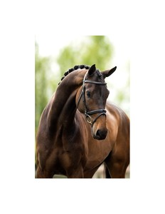 Bride de luxe pour cheval avec bandeau en cuir, design ondulé en cristal, gemme bleue au centre, pour dressage et concours - Taille Cob - Taille complète - Product Image 2