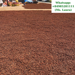 Otoño/primavera alta calidad estrella anís sola especia hierba precio barato de Vietnam - Product Image 3