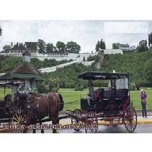Design élégant de limousine transport à cheval touristique dernière voiture tirée par des chevaux de huit places Royal Black Horse Touring Carriage - Product Image 1