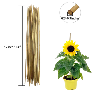 Piquets de jardin en bambou les plus vendus-Support de plantes pour une utilisation polyvalente 1.3 pieds 50 Pack Piquets de plantes écologiques - Product Image 2