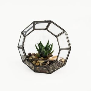 Récipient de jardin d'intérieur décoratif en verre géométrique de terrarium en métal avec une touche artistique moderne de conception d'or métallique - Product Image 1